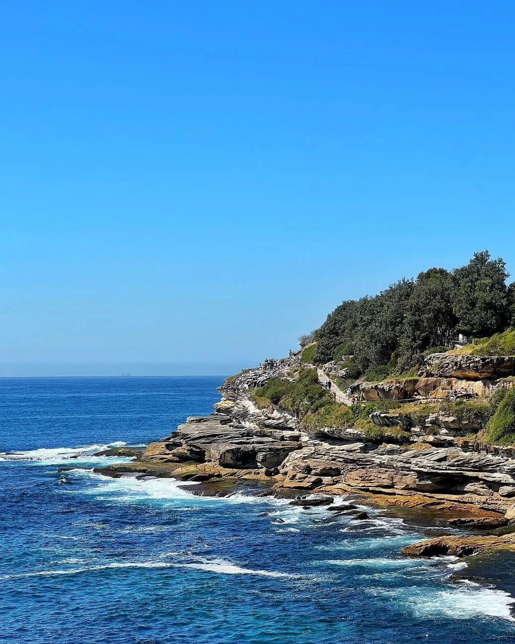 Bondi to Coogee Coastal Walk