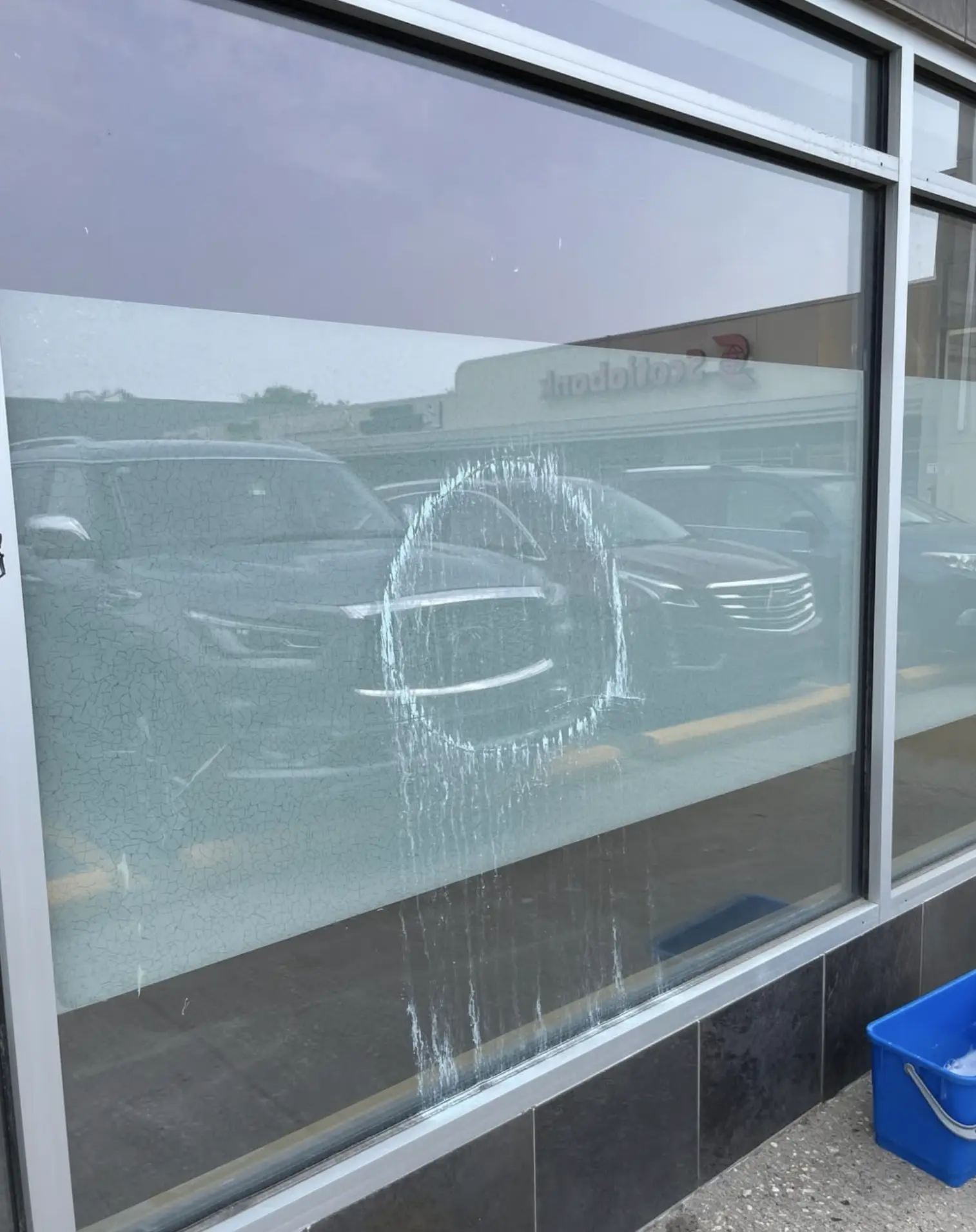 Commercial Window Cleaning