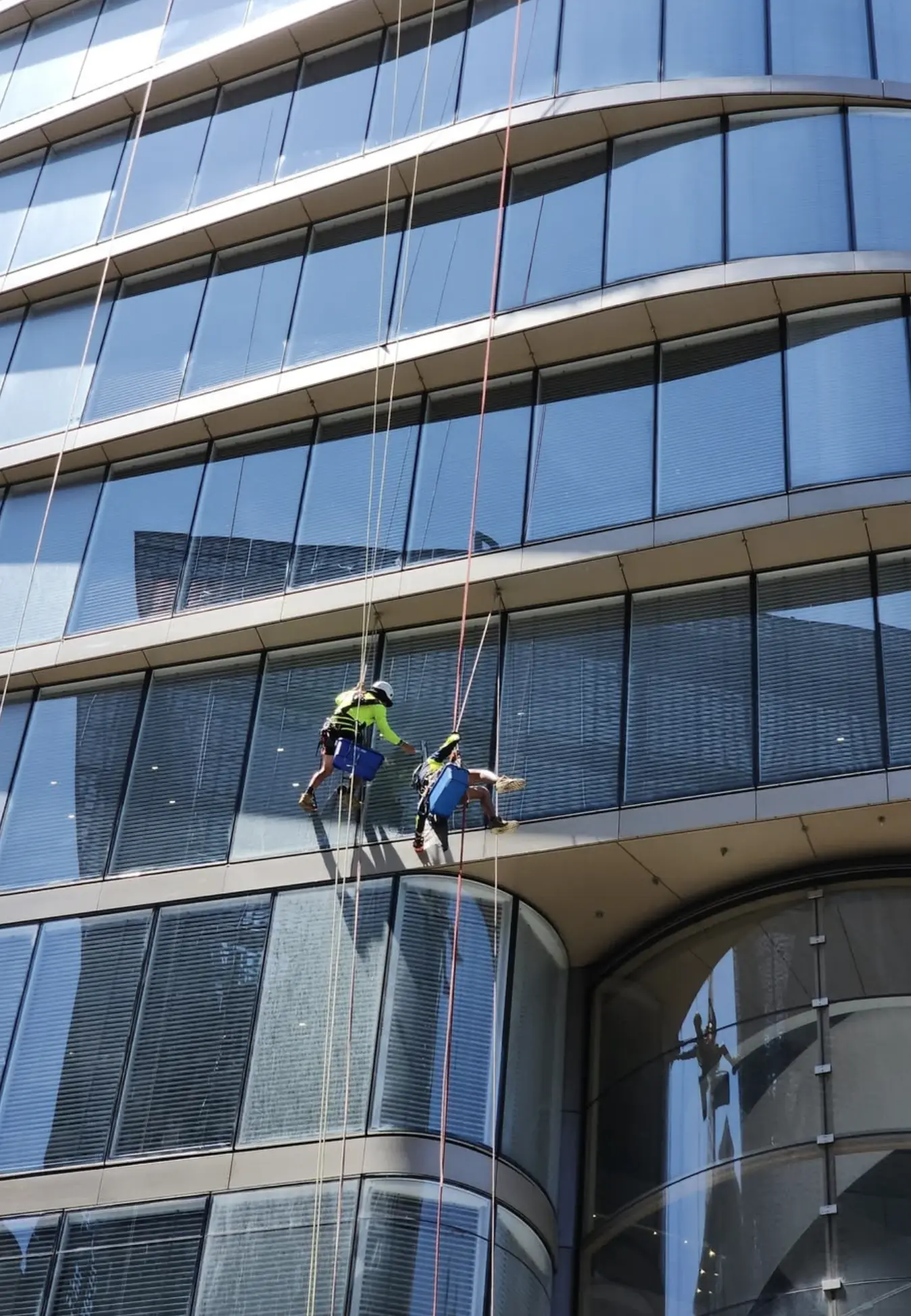 Professional Window Cleaners