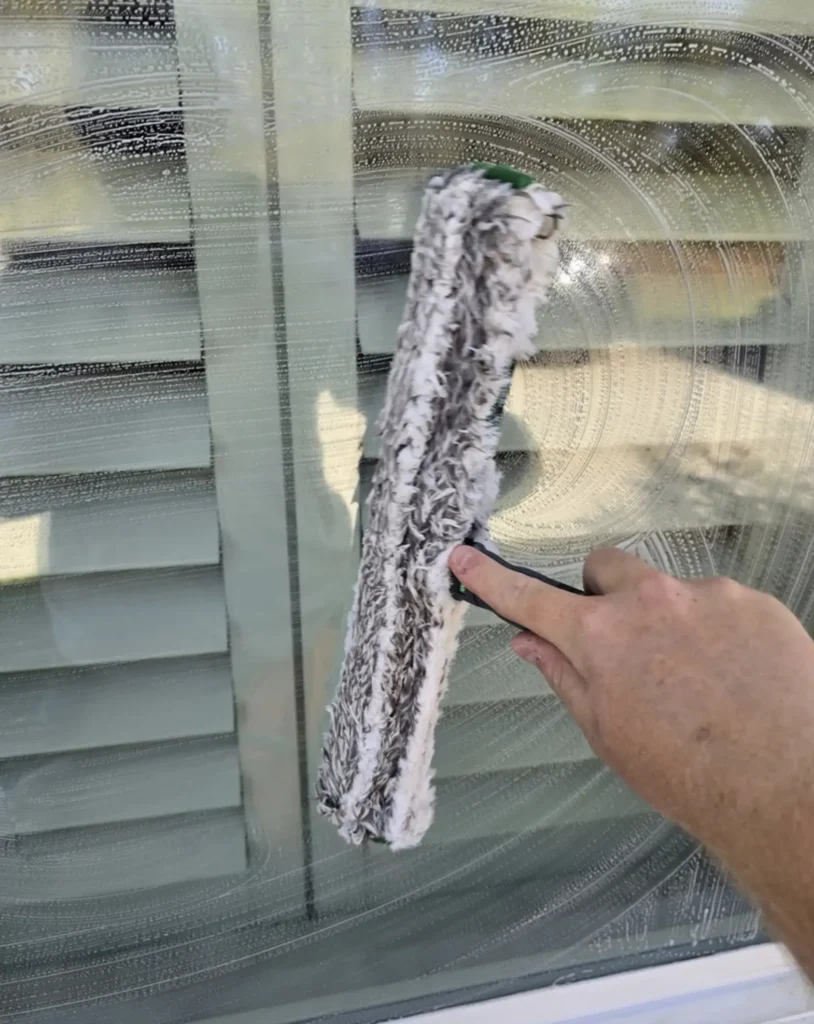 Professional Window Cleaning