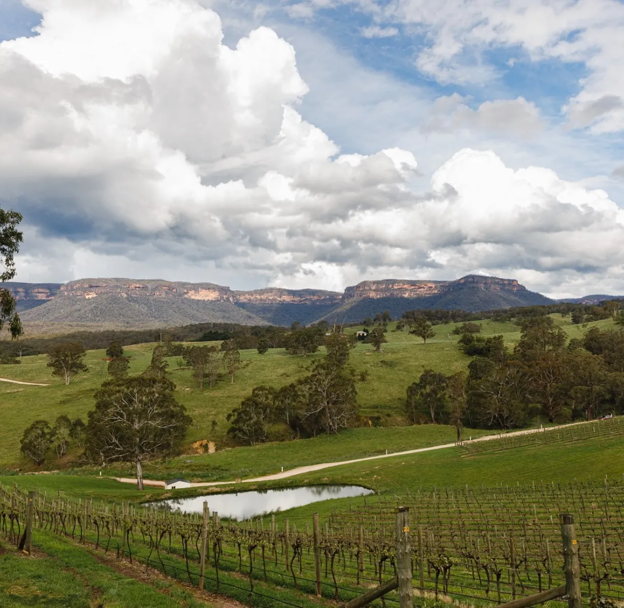 The Best Blue Mountains Wineries and Vineyards to Visit